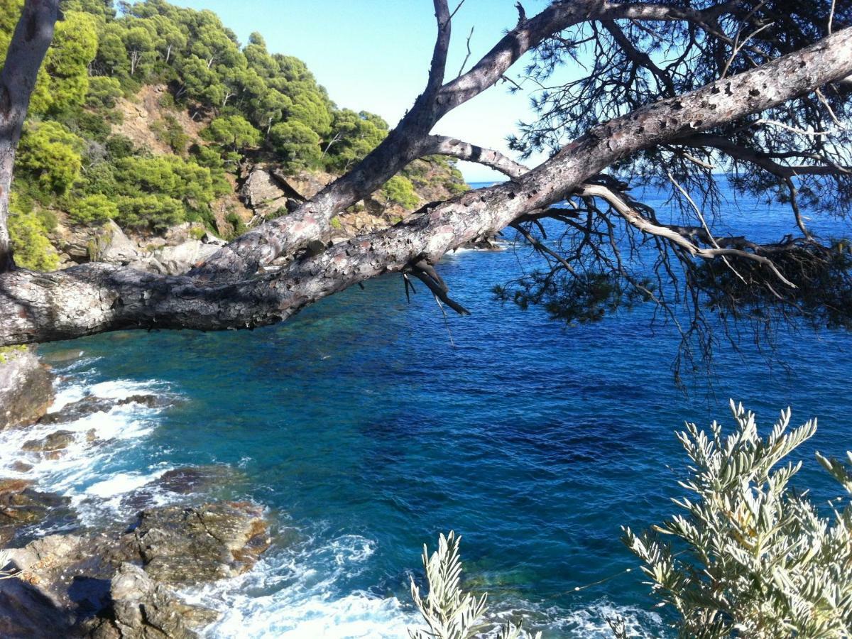 Villa De Vacances Au Calme Proche De La Mer La Londe-les-Maures Luaran gambar